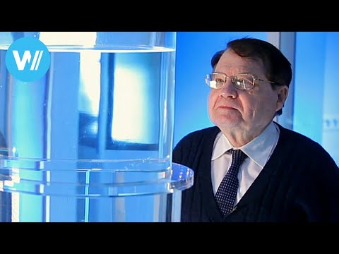 Water Memory (2014 Documentary about Nobel Prize laureate Luc Montagnier)