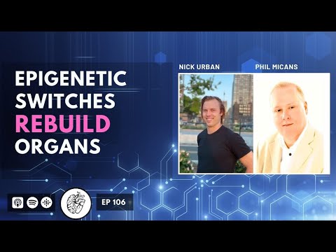 Bioregulators: Soviet Military Secret Regenerates Organs, Resets DNA &amp; Restores Health | Phil Micans