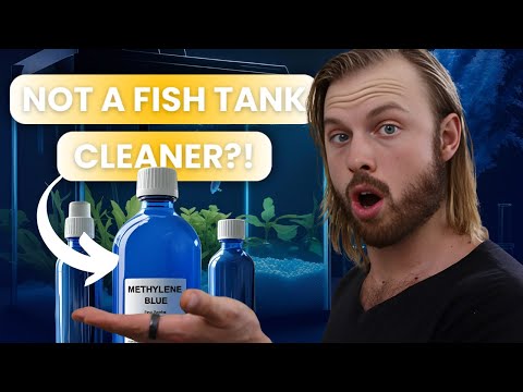 What 1 Drop of Methylene Blue Does to Your Brain (Fast Results in 24 Hours)