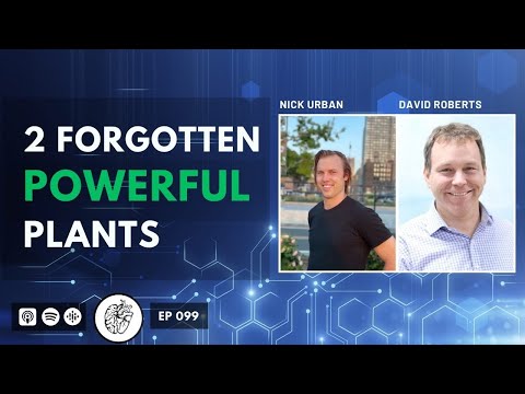 Berberine &amp; Sulforaphane for AntiAging, Sleep, Weight, Hair, Brain &amp; More | David Roberts @MaraLabs