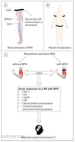 Blood Flow Restriction Training In 2021: The Full BFRT Beginner's Guide