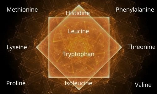 The Nine (9) Essential Amino Acids