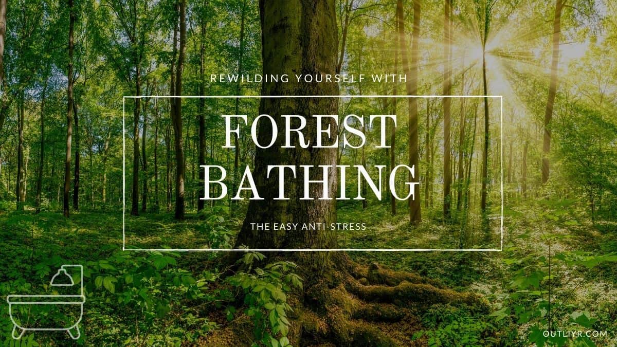Forest Bathing Nature's 10Minute Healing Therapy
