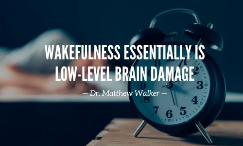 Wakefulness Low-Level Brain Damage Quote by Dr Matthew Walker.