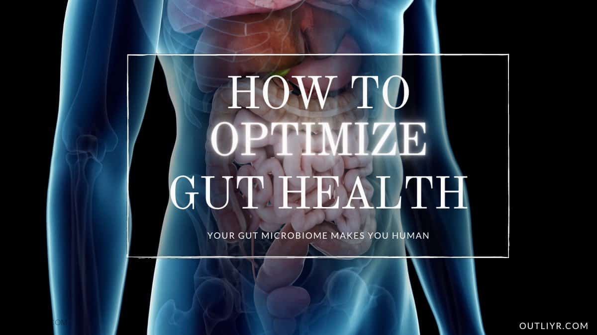 Biohacking Gut Health The Scientific Optimization Guide 3294